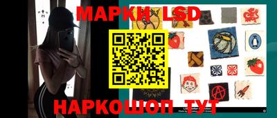 Альфа ПВП Дубна