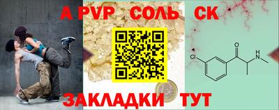 Альфа ПВП Дубна
